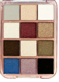 Beauty Treats NEW NUDE 12 COLOR EYESHADOW PALETTE